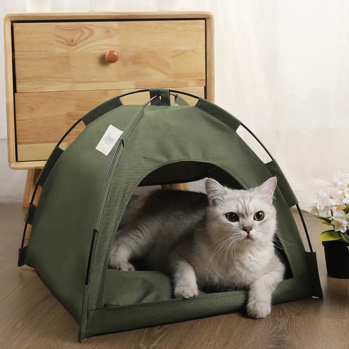 Winter Clamshell Kitten Tents Cat